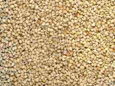 semillas-de-sesamo-blanco-super-natural-x-1-kg-exquisito-7634-MLA5253407550_102013-O
