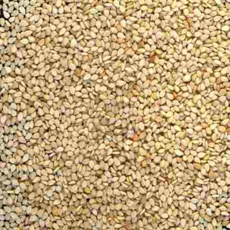 semillas-de-sesamo-blanco-super-natural-x-1-kg-exquisito-7634-MLA5253407550_102013-O